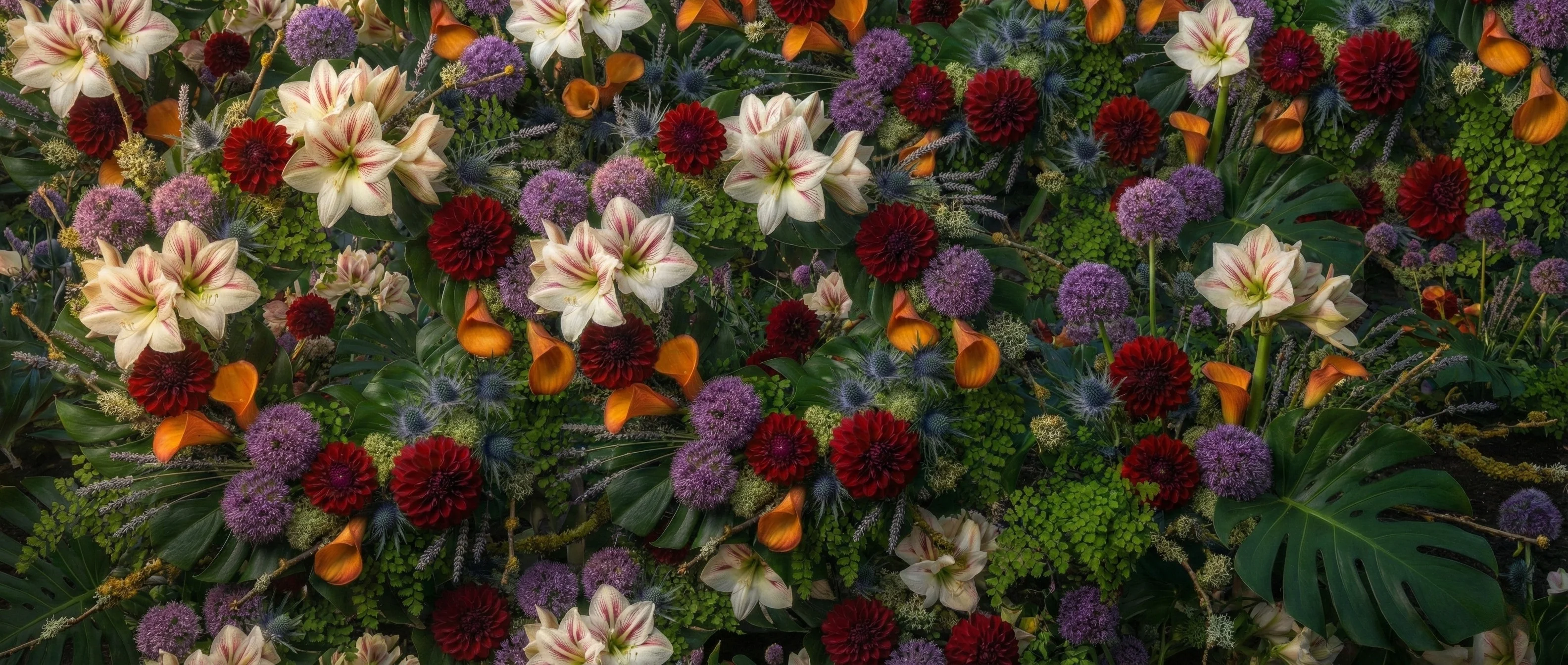 Newsletter Background